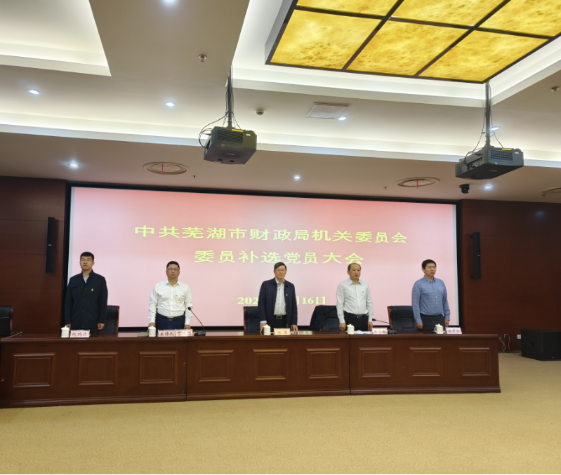 芜湖市财政局成功召开机关委员会委员补选党员大会
